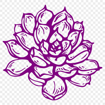 A stylized illustration of a succulent plant, often found in desert environments.