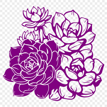 A succulent plant with thick, fleshy leaves in a desert-like setting.