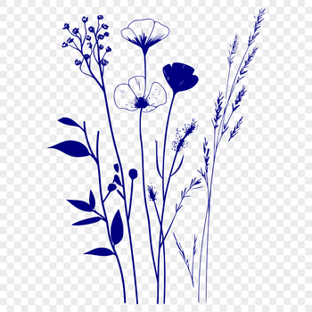 Vector illustration of a realistic wild flower in bloom.