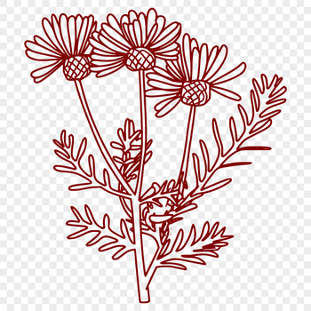 Flower Image In SVG, PNG, PDF And DXF File Formats