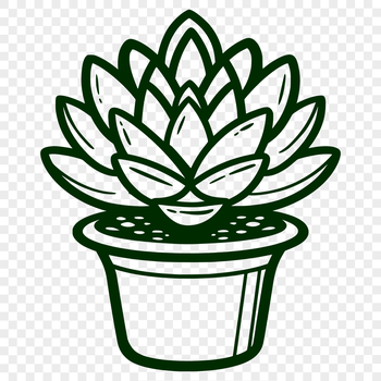 An artistic representation of a succulent floral design.