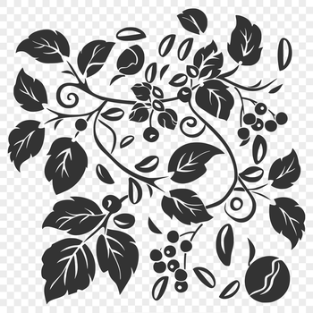 Illustrative coffee bean graphic with ornate floral details.