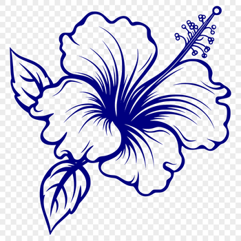 A stylized illustration of a Hibiscus flower with large petals and a prominent center.