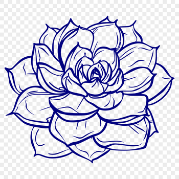 A vector graphic representation of a desert-dwelling succulent species.
