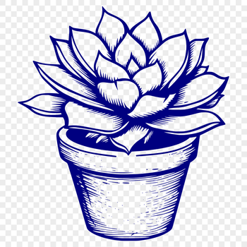 A stylized illustration of a succulent plant with fleshy leaves and stems.