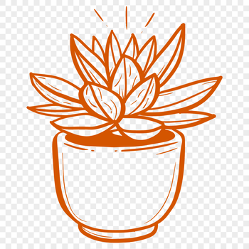 A detailed illustration of a succulent plant with thick, fleshy leaves.