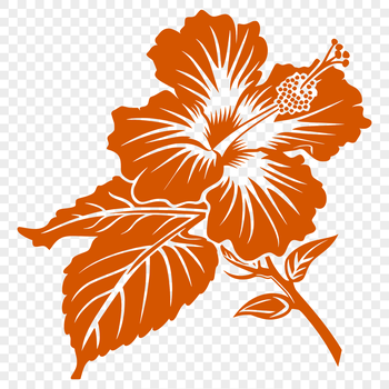 A colorful illustration of a hibiscus flower with large petals and a prominent center.