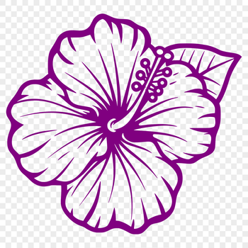 A colorful hibiscus flower in full bloom, suitable for digital designs.