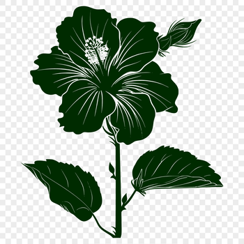 A high-quality digital representation of a hibiscus flower, ideal for vector graphics and design projects.