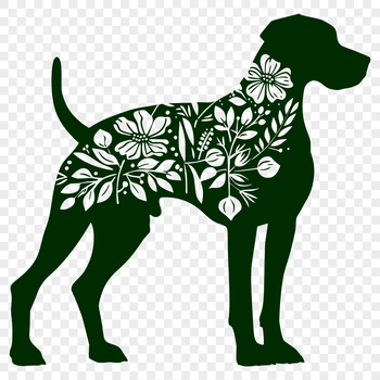 Illustrative vector art of a standing Great Dane dog in full body view.