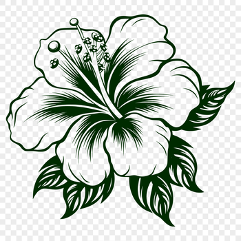 A colorful illustration of a hibiscus flower, suitable for use in gardening and floral designs.