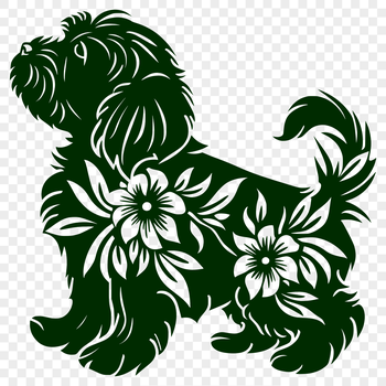 A standing Havanese dog in front of a floral background.