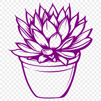 A stylized illustration of a succulent plant with thick, fleshy leaves.