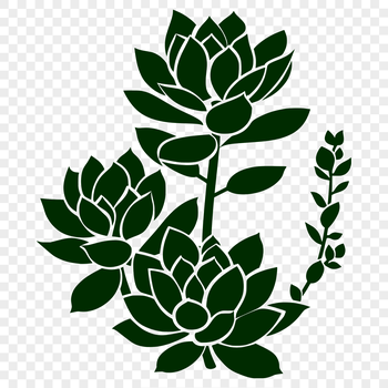 A detailed illustration of a desert plant with thick, fleshy stems and leaves.
