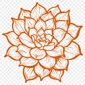 A detailed illustration of a desert succulent plant with fleshy leaves.