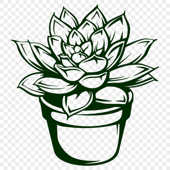 A small, compact desert plant with thick fleshy leaves, suitable for vector art and design projects.