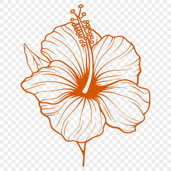 A colorful illustration of a Hibiscus flower in bloom.