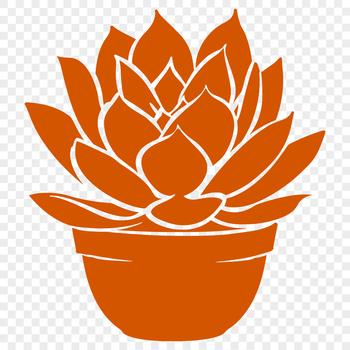 A succulent plant with thick, fleshy leaves and stems, commonly found in desert landscapes.