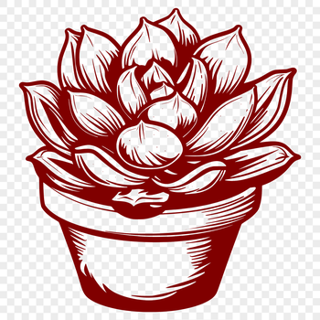 Illustrative succulent plant design, suitable for various digital applications and crafts.