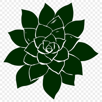 A succulent plant with fleshy leaves in a desert landscape, suitable for vector art and gardening designs.