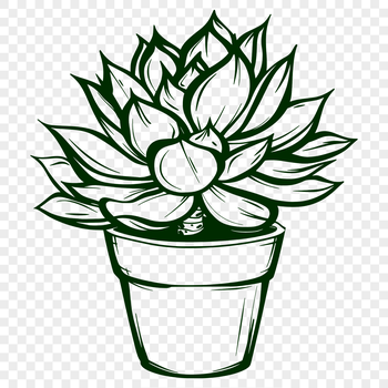 A succulent plant with thick, fleshy leaves and stems, commonly found in desert environments.