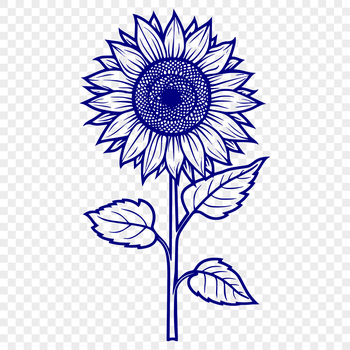 A detailed illustration of a sunflower in bloom, suitable for vector design and commercial or personal projects.