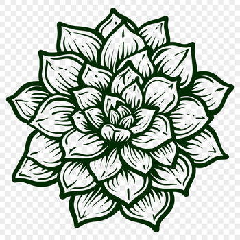 An elegant vector design of a succulent plant suitable for digital crafting and DIY projects.