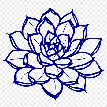 A detailed illustration of a succulent plant with thick, fleshy leaves, suitable for vector design and crafting.