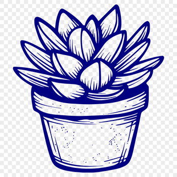 A succulent plant with thick fleshy leaves and stems growing in a desert landscape.