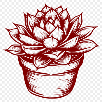An intricately designed vector graphic of a desert-dwelling succulent.