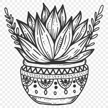 Close-up graphic representation of a desert-dwelling succulent with robust stems and plump foliage.