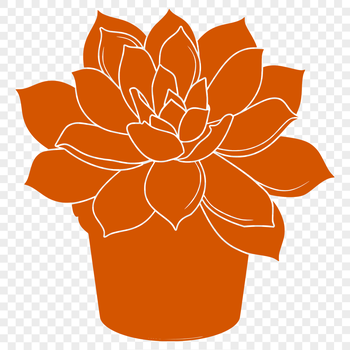 Illustrative succulent plant with thick, fleshy leaves, suitable for vector design and digital crafting.