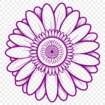 A simple illustration of a daisy flower in black lines on a white background.