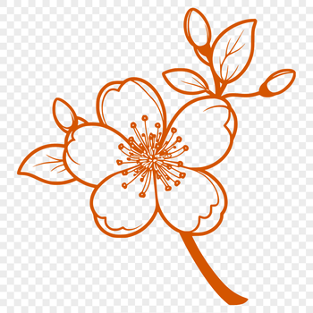 A stylized illustration of a blooming cherry blossom flower with delicate petals and a small green stem.