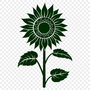 An isolated vector graphic representation of a tall sunflower plant with large yellow blooms and green stem.