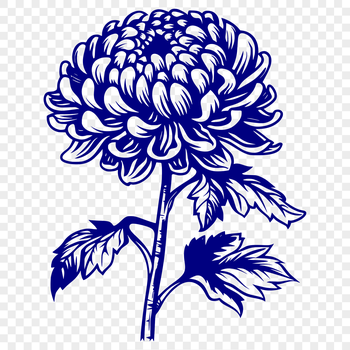 A detailed illustration of a single chrysanthemum flower with intricate petals and center.