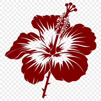 A detailed floral illustration of a hibiscus flower, suitable for vector art and cutting machine designs.