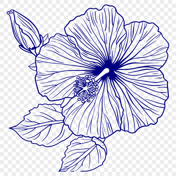 A stylized illustration of a hibiscus flower with large, showy petals.