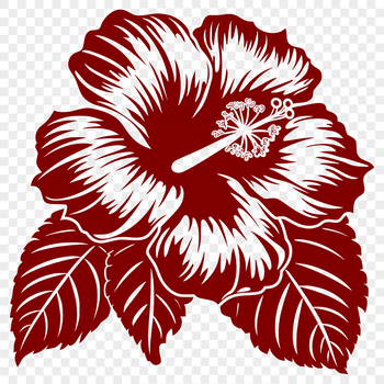 A detailed illustration of a hibiscus flower, suitable for vector art designs.