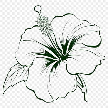 A vibrant floral illustration of a hibiscus flower with layered petals.
