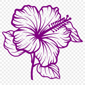 A colorful floral design featuring a stylized hibiscus flower in vector format.