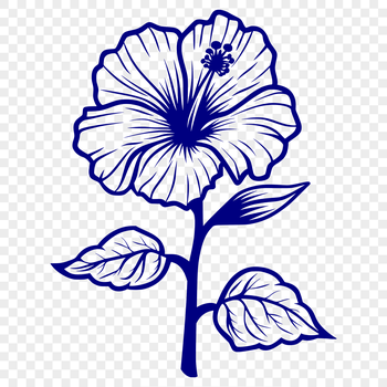 A detailed vector representation of a tropical hibiscus plant with five-petaled flowers.