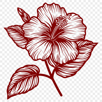 A stylized illustration of a large hibiscus flower with vibrant petals.