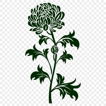 An SVG design of a single blooming Chrysanthemum with petals and center detail.