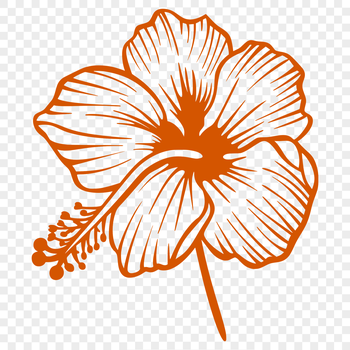 A detailed illustration of a hibiscus flower with intricate details, suitable for printing or digital use.