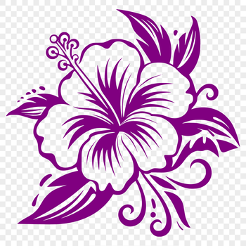 A high-quality floral design of a single hibiscus flower with detailed petals and center.