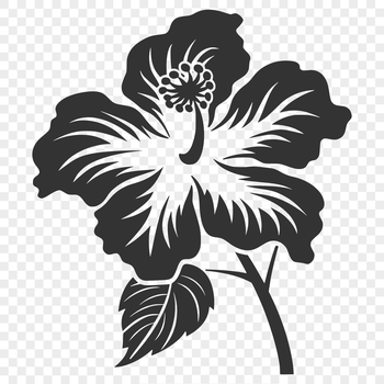 A close-up illustration of a single hibiscus flower with prominent petals and center.
