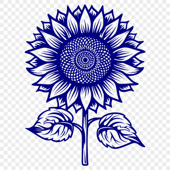 A detailed illustration of a sunflower in full bloom, suitable for use as clip art or vector design.
