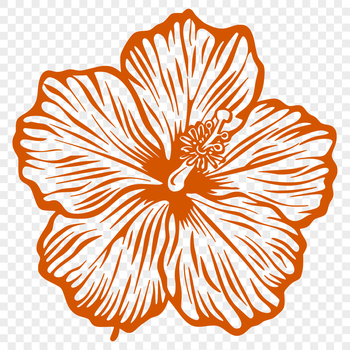 A detailed illustration of a hibiscus flower, suitable for gardening and floral designs.