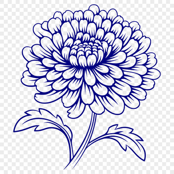 An illustration of a single chrysanthemum flower with intricate details and realistic texture.